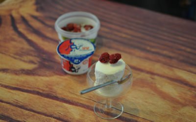 Dodoni frozen jogurt